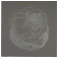 Hedda Sterne — Метафоры и метаморфозы: четыре отпечатка, изображение 5