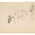 Henri de Toulouse-Lautrec — Шевроле ( прямой ; оборотной стороной ), изображение 3