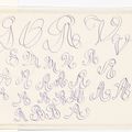 Henri Matisse — Нюанс во флере, изображение 2