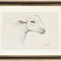 Henry Moore — Голова овцы, изображение 2
