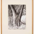 Henry Moore — ствол дерева, изображение 2