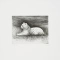 Henry Moore — Животные в зоопарке (с. 631-648), изображение 11