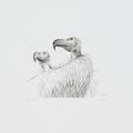 Henry Moore — Животные в зоопарке (с. 631-648), изображение 4