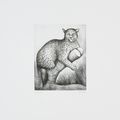 Henry Moore — Животные в зоопарке (с. 631-648), изображение 10