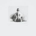 Henry Moore — Девять пластинок из коллекции Nudes (C. 396-401, 403-406), изображение 5