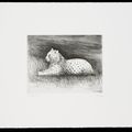Henry Moore — Животные в зоопарке, изображение 5