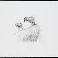 Henry Moore — Животные в зоопарке, изображение 7