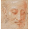 Italian School — Изображение бородатой головы, смотрящей вниз, изображение 1