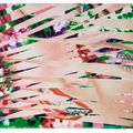 James Rosenquist — Перекрестная штриховка и мутации, из книги "Секреты гвоздик", изображение 1