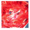 James Rosenquist — Четыре гравюры художника, изображение 5