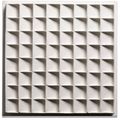 Jan Schoonhoven — R72-35, изображение 1