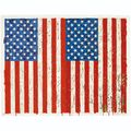 Jasper Johns — Флаги, которые я, изображение 1