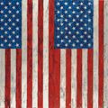 Jasper Johns — Флаги, которые я, изображение 3