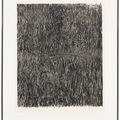 Jasper Johns — Вешалка для одежды I, изображение 2