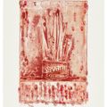 Jasper Johns — Саварин 3 (красный), изображение 1