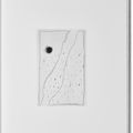 Jasper Johns — Шипучки (Фойрады), изображение 4