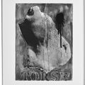 Jasper Johns — Шипучки (Фойрады), изображение 7