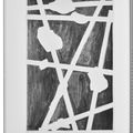 Jasper Johns — Шипучки (Фойрады), изображение 9