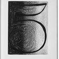 Jasper Johns — Шипучки (Фойрады), изображение 10