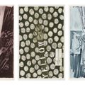 Jasper Johns — Без названия (красный), без названия (желтый) и без названия (синий), изображение 1