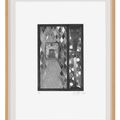 Jasper Johns — Детеныш кустарника, изображение 2