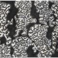 Jean Dubuffet — Отдельные лица, изображение 1