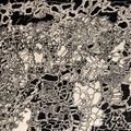 Jean Dubuffet — Радиальный метеорит, изображение 1