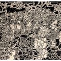 Jean Dubuffet — Радиальный метеорит, изображение 2