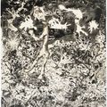 Jean Dubuffet — Изысканный вкус, изображение 1