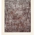 Jean Dubuffet — Кадастр из "Ле Феномен", изображение 10