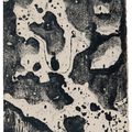 Jean Dubuffet — Андре Мартель, "Мир природы", изображение 5