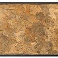 Jean Dubuffet — Соль этуаль, изображение 2