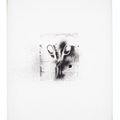 Jim Dine — Десять зимних инструментов, изображение 6