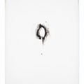 Jim Dine — Десять зимних инструментов, изображение 10