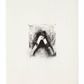 Jim Dine — Десять зимних инструментов, изображение 11