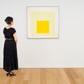 Josef Albers — Дань уважения площади: влияние, изображение 3