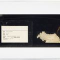 Josef Albers — Структурная композиция: Duo H, изображение 4