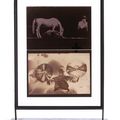 Joseph Beuys — Ифигения / Тит Андроник, изображение 2