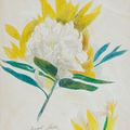 Joseph Stella — Цветок кактуса, изображение 1