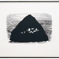 Kara Walker — Иллюстрированная история гражданской войны Харпера (с комментариями), изображение 10