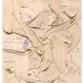 Kazuo Shiraga — 酪枝 (Ракуши), изображение 1