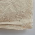 Kiki Smith — Двойной шестигранник, изображение 3