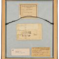 Kurt Schwitters — Он Титул (Mit Stahlträgerkonstruktion), изображение 3