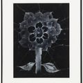 Lee Bontecou — Без названия, изображение 2
