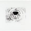 Lee Bontecou — Три гравюры художника, изображение 4