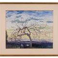 Leon Spilliaert — Вийгенбум в де Винтер, Грасс, изображение 4