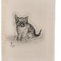 Léonard Tsuguharu Foujita — Книга о кошках, изображение 7