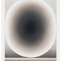 Loie Hollowell — Серый мозг, изображение 1