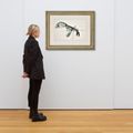Lucian Freud — Лобстер, изображение 2
