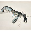 Lucian Freud — Лобстер, изображение 3